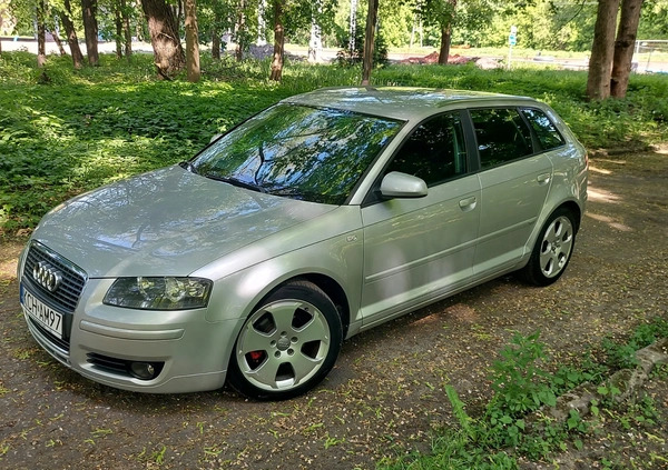 Audi A3 cena 15600 przebieg: 299000, rok produkcji 2006 z Sosnowiec małe 301